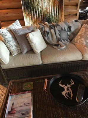 TV, fireplace, DVD player, books