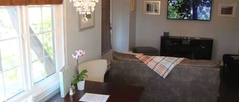 Smart TV, fireplace, DVD player, video library