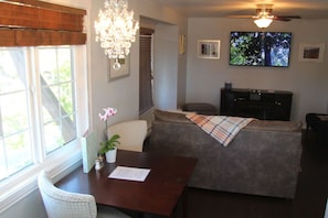 Smart TV, fireplace, DVD player, video library