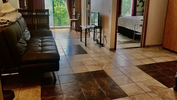 Un salon avec un canapé, une table à manger et des chaises, un téléviseur, et un lit dans la pièce adjacente.