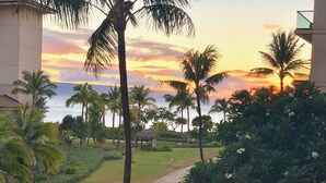 A pathway leading to a beach with palm trees and a sunset view.