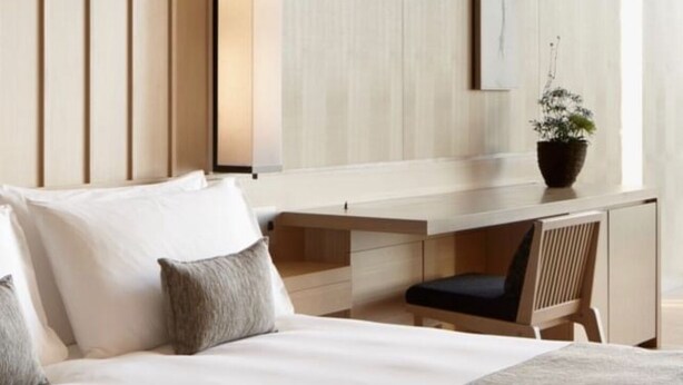 A modern hotel room with a large bed, a desk, and a potted plant. - The Colors Under The Sea (Hengchun)