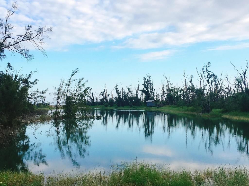 Un lac paisible où se reflètent les arbres et où le ciel est dégagé.