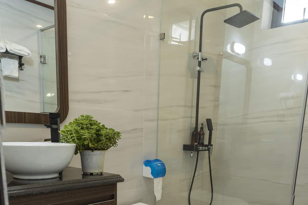 deluxe room | bathroom | shower, hydromassage showerhead, free toiletries, hair dryer