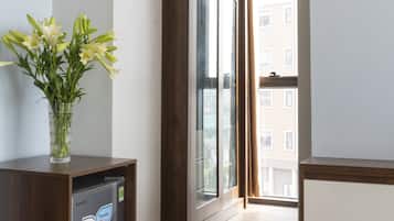 Deluxe Room | View from room