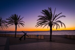Zonsondergang met palmbomen en een verhard pad aan het water.