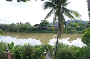 Bungalow Standard | Vue de la chambre