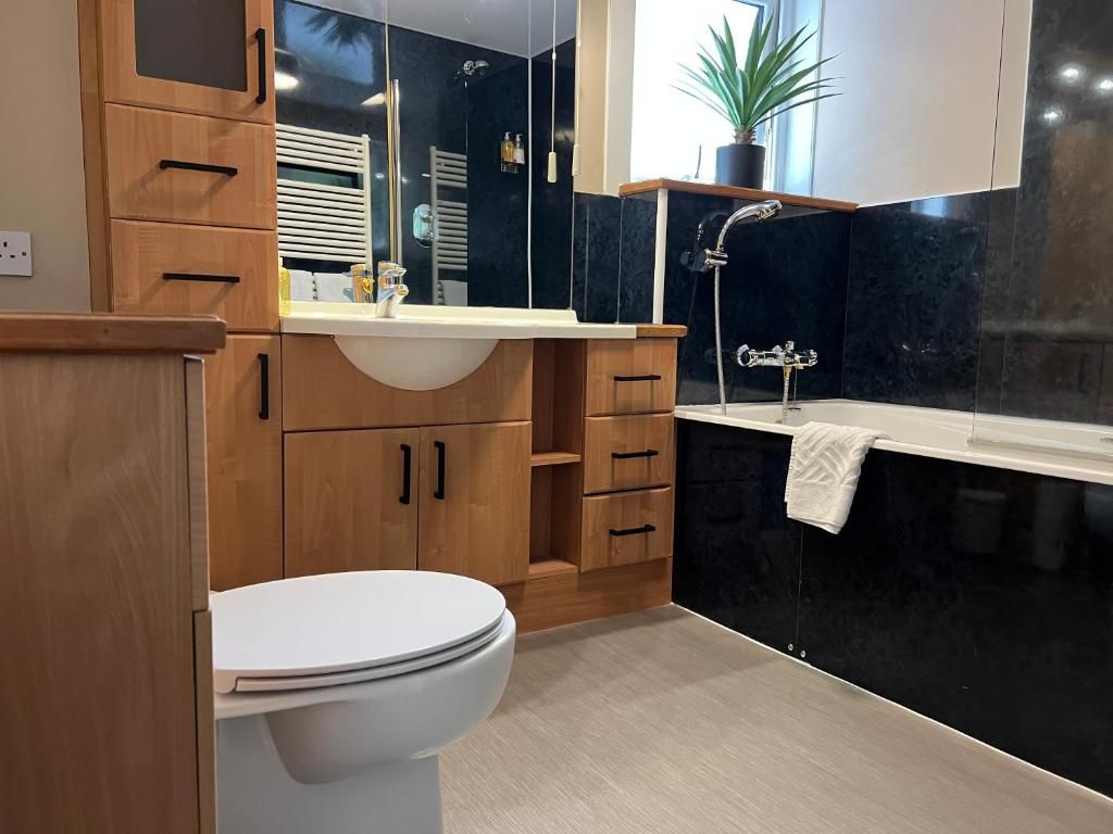 A modern bathroom with a toilet, wooden cabinets, a sink, and a mirror.
