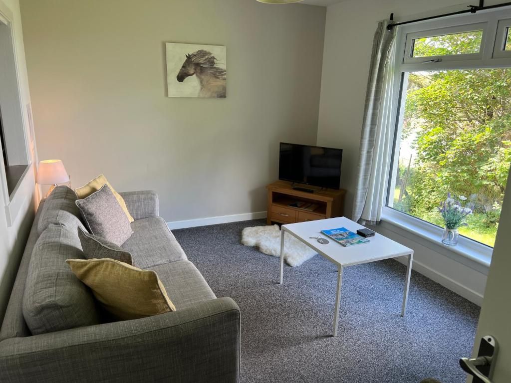 A living room with a grey sofa, a white coffee table, a television on a wooden stand, and a window with a view of greenery.