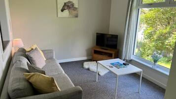 A living room with a grey sofa, a white coffee table, a television on a wooden stand, and a window with a view of greenery.