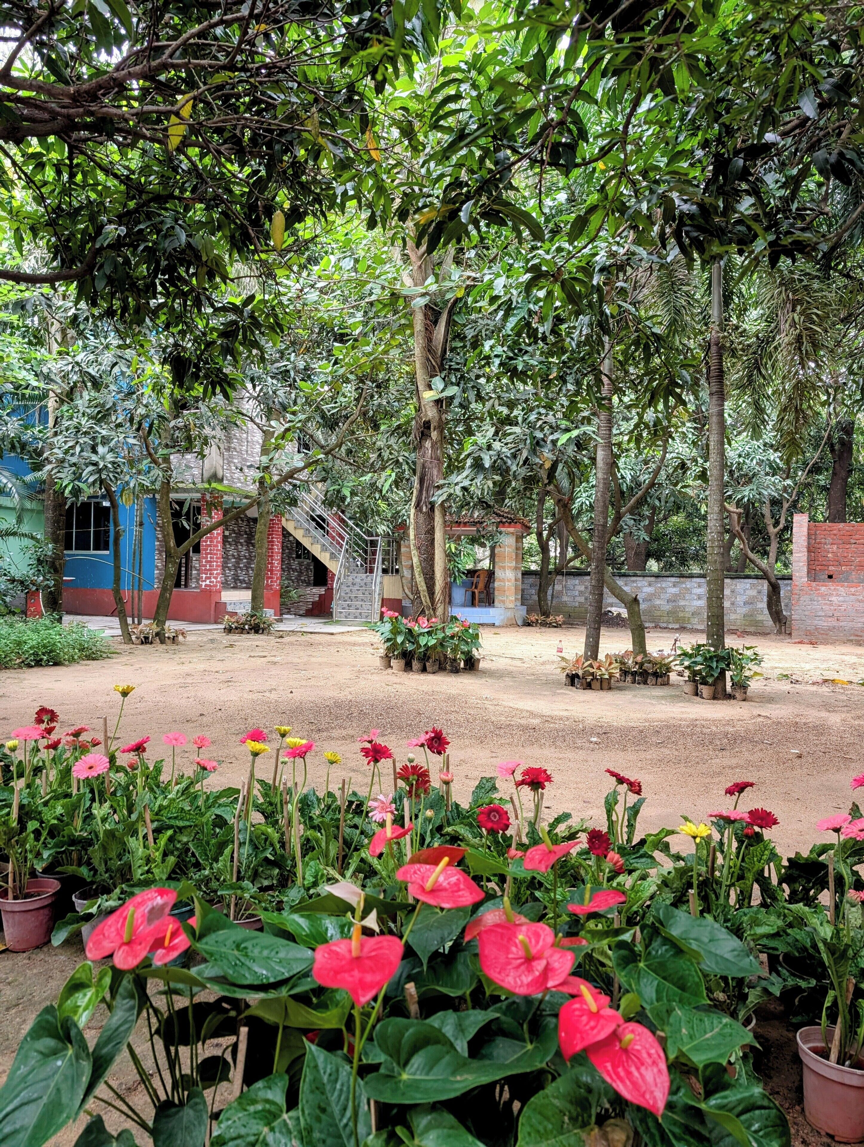 A courtyard with potted plants, a brick wall, and a staircase leading to a building.