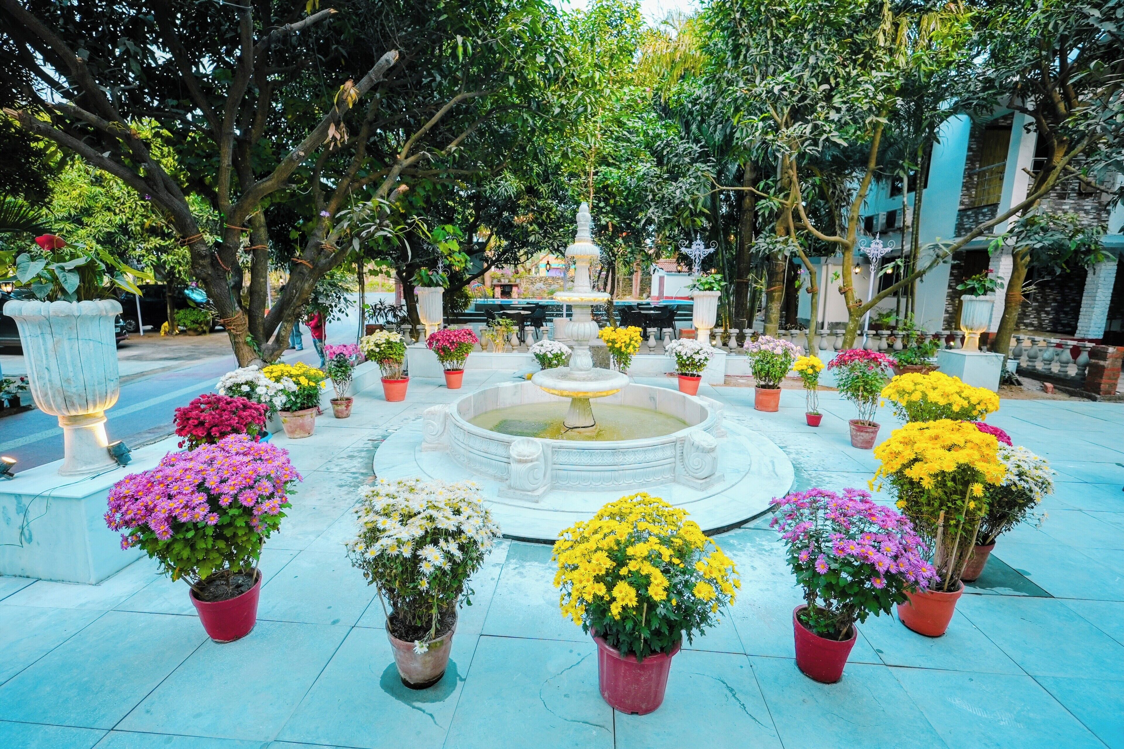 A courtyard with a central fountain surrounded by potted plants and trees.
