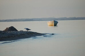 Nicht klassifiziertes Bild, 5 von 13, Schaltfläche