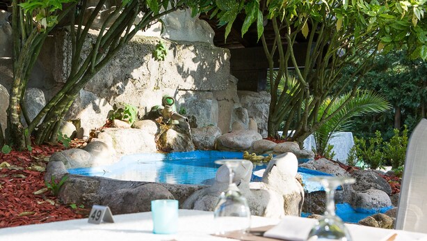 A dining table set with a blue pool, stone features, and greenery.