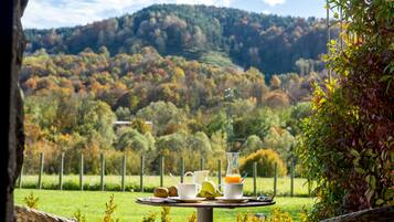 Classic Double Room, Garden View | Terrace/patio