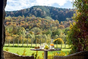 Terrace/patio - Les Planes del Grau (Sant Joan de Les Abadesses)