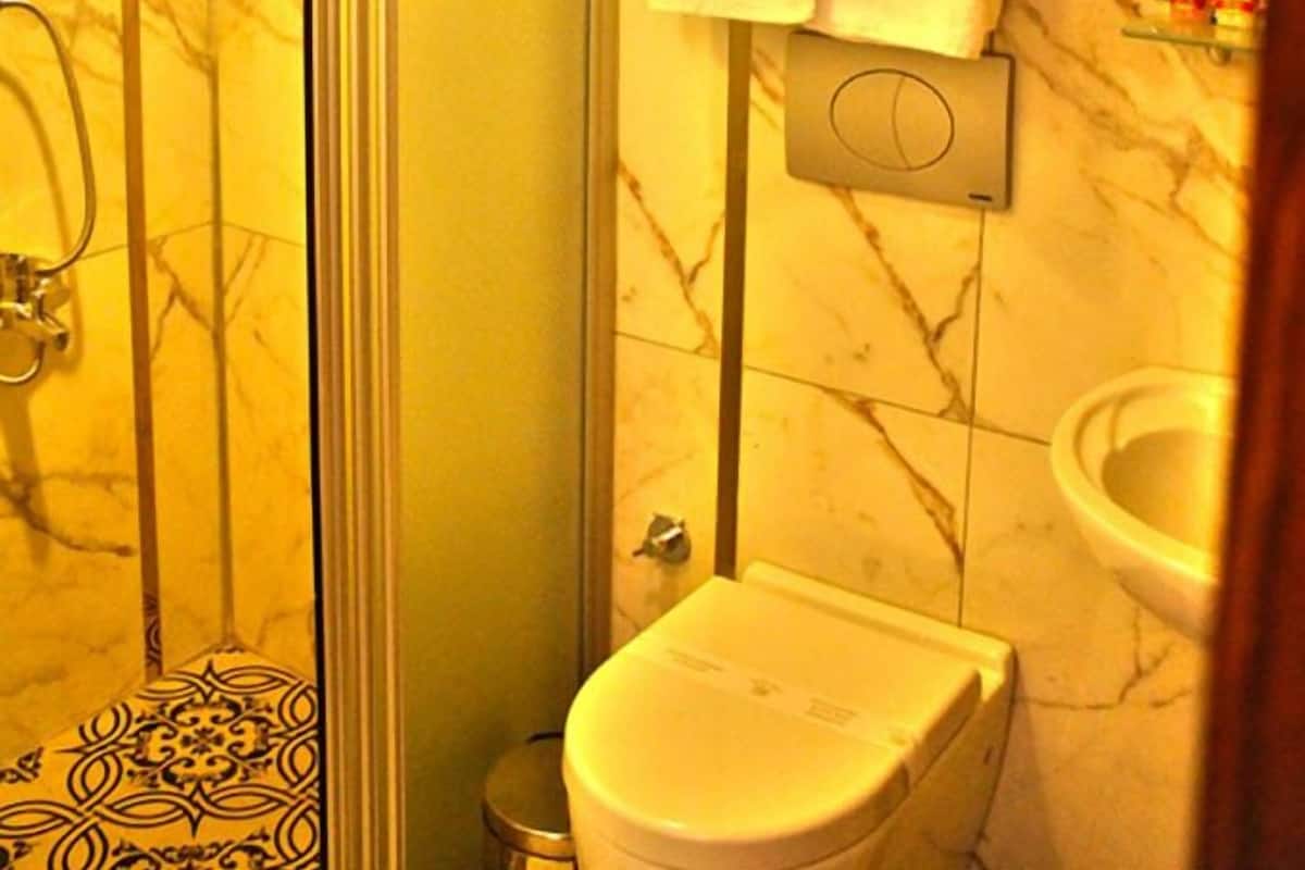 shower, free toiletries, hair dryer, slippers