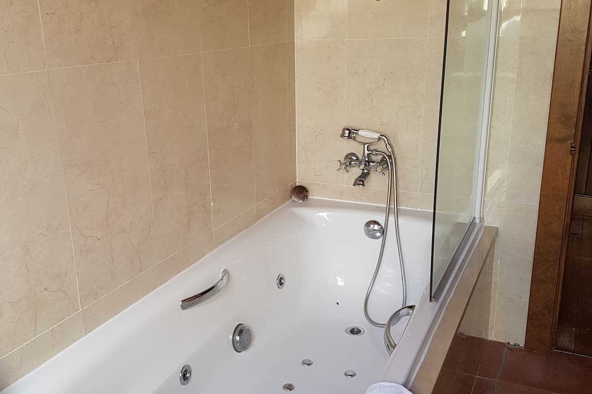 suite | bathroom | shower, hair dryer