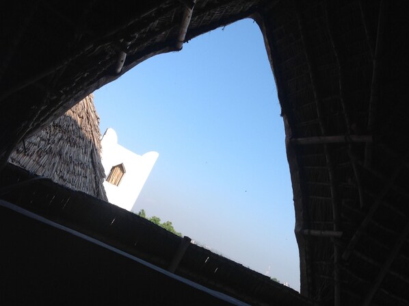 Utsikt från boendet