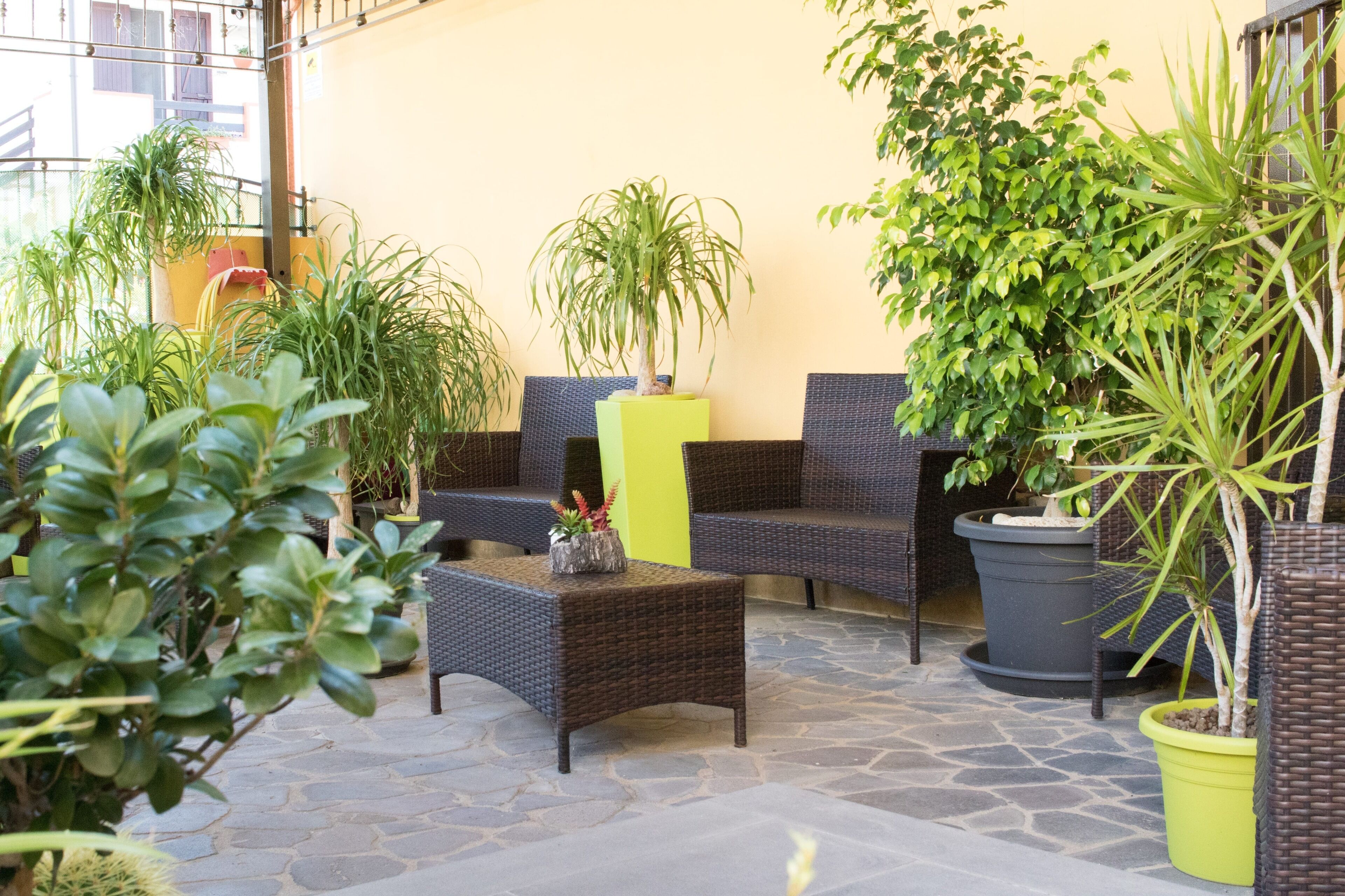 Un patio con mobiliario de mimbre, plantas en macetas y suelo de piedra.