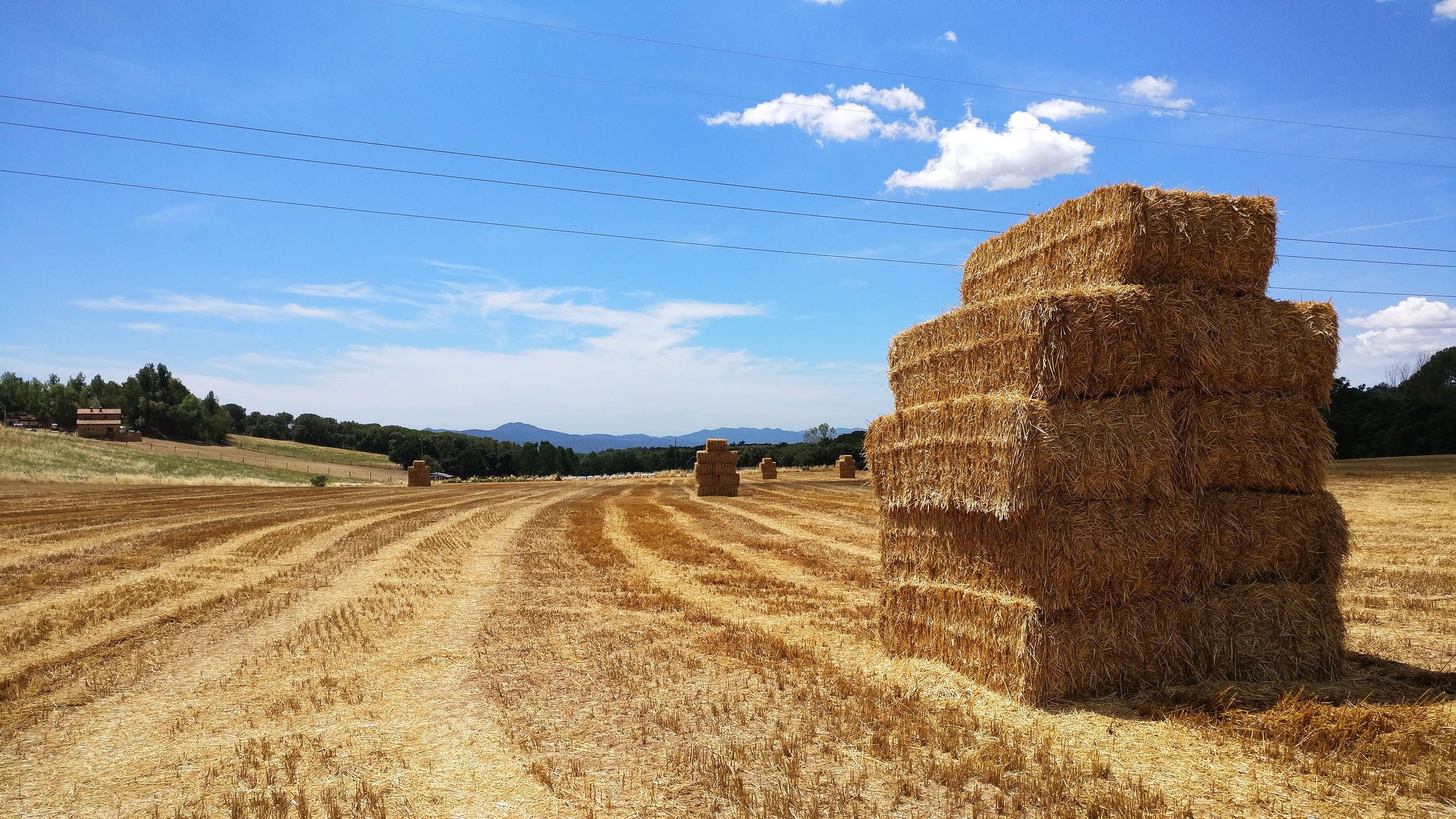 Foto - Masia Can Bachs