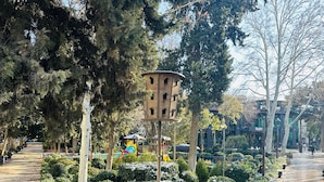 Vườn