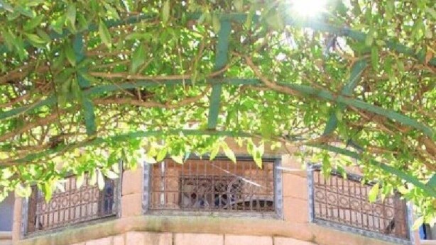 Property entrance - Complexe Lakala (Bouznika)