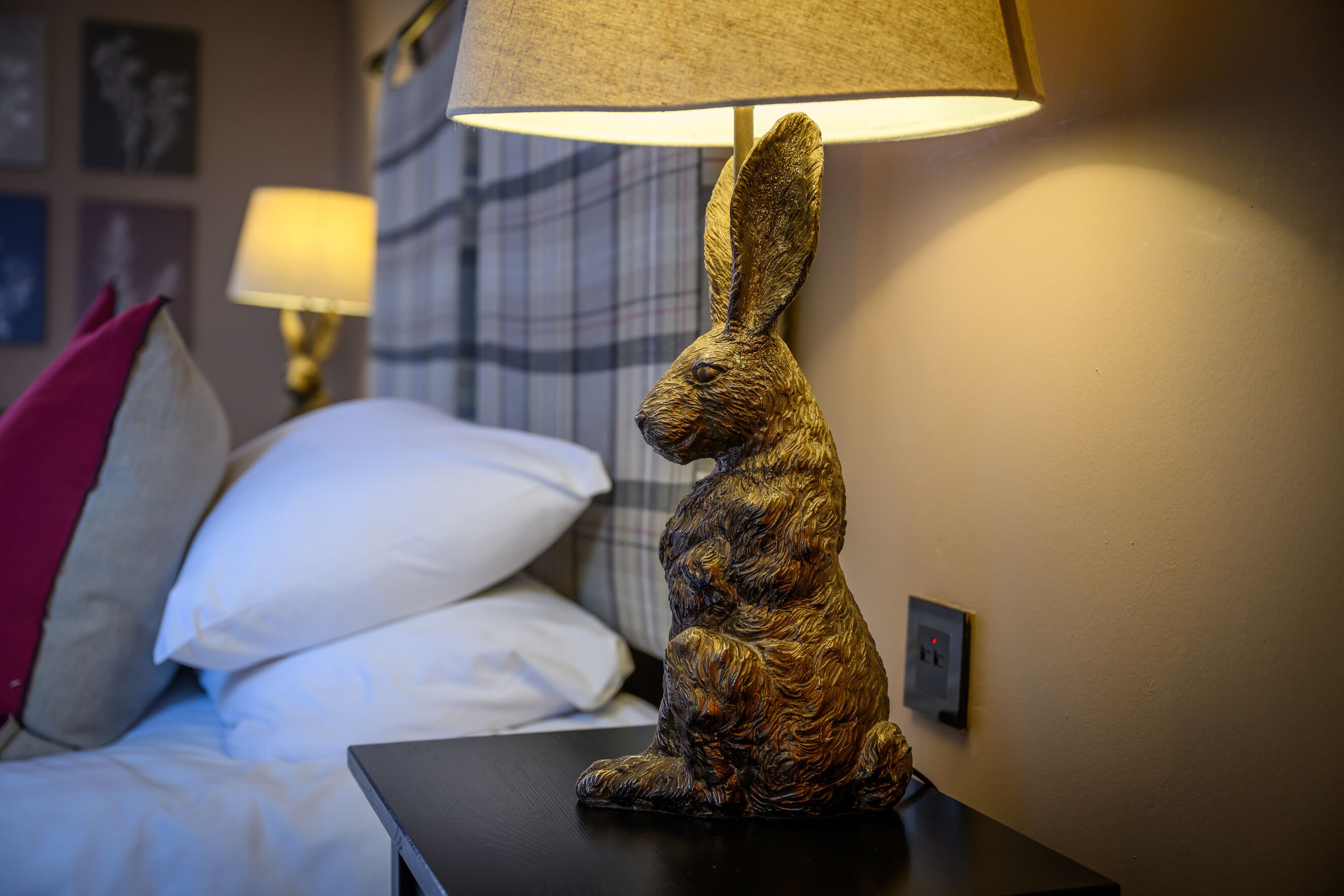 A bed with white and pink pillows, a bedside table with a lamp, and a wall-mounted light switch.