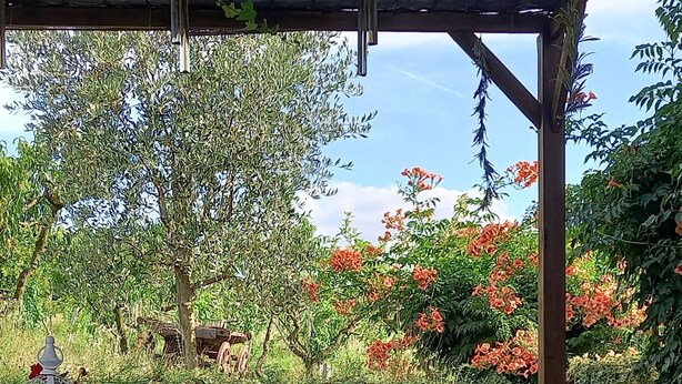 View from property - Cascina Beatrice (Rodello)