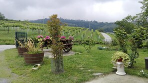 Blick von der Unterkunft