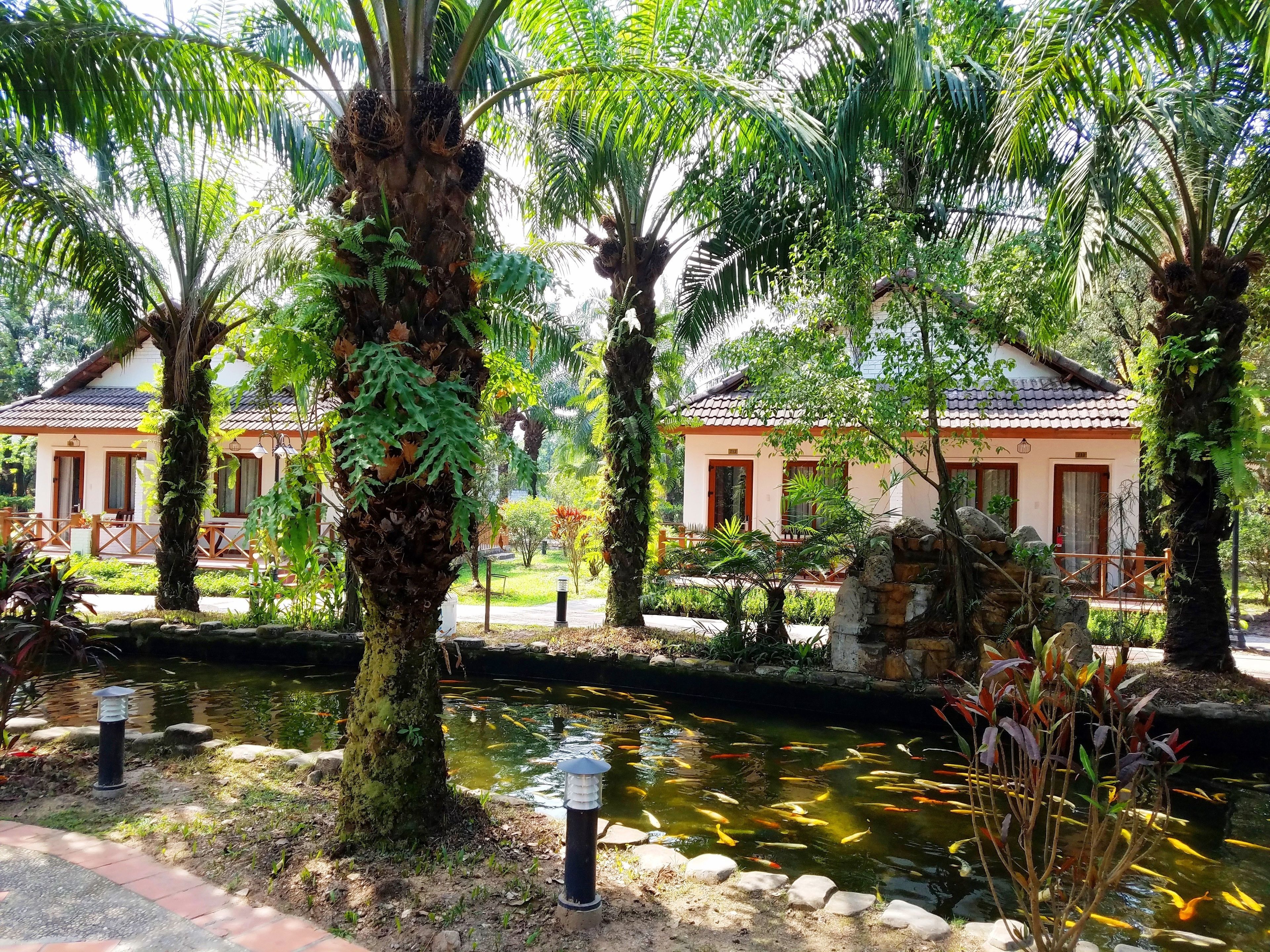 Quang cảnh nhìn từ nơi lưu trú