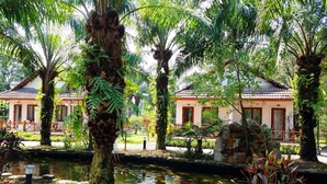 Un jardín tranquilo con un estanque, palmeras y edificios de estilo tradicional.