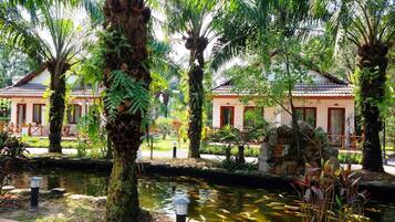 Quang cảnh nhìn từ nơi lưu trú