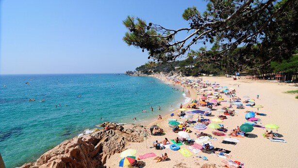Playa