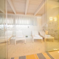 Sauna, vasca idromassaggio, bagno turco/hammam, aromaterapia, massaggi