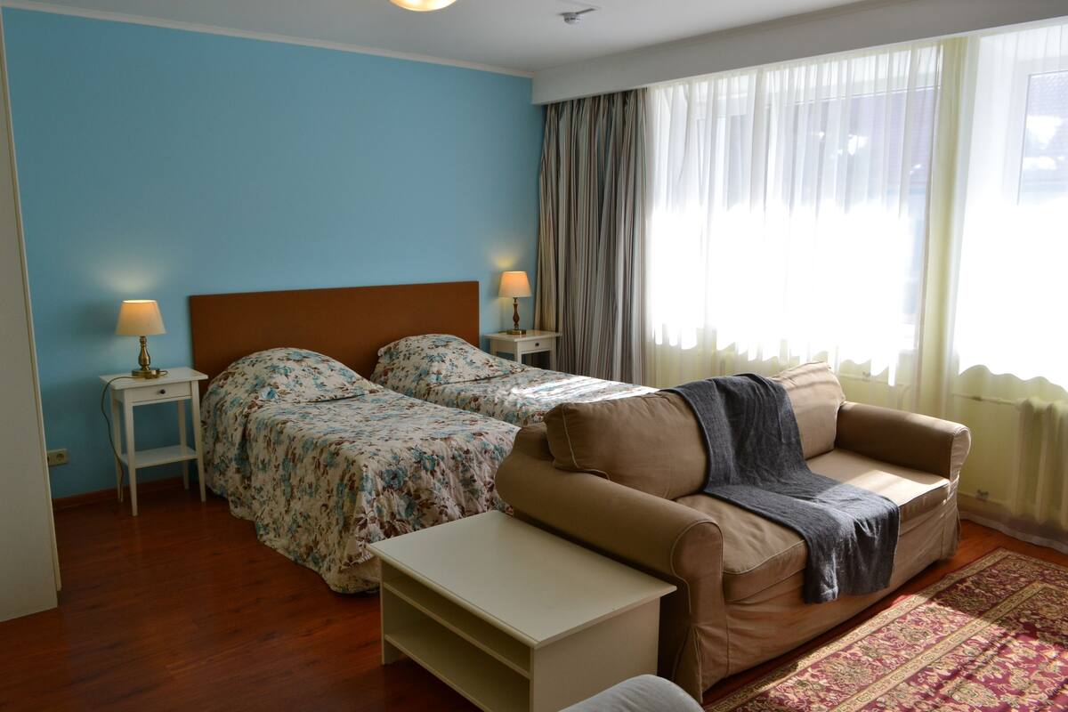 Studio | 1 bedroom, iron/ironing board, free WiFi, bed sheets