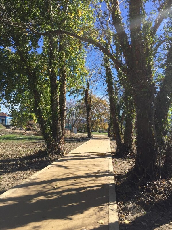 Un sendero de hormigón bordeado de árboles con luz solar filtrándose entre las ramas.