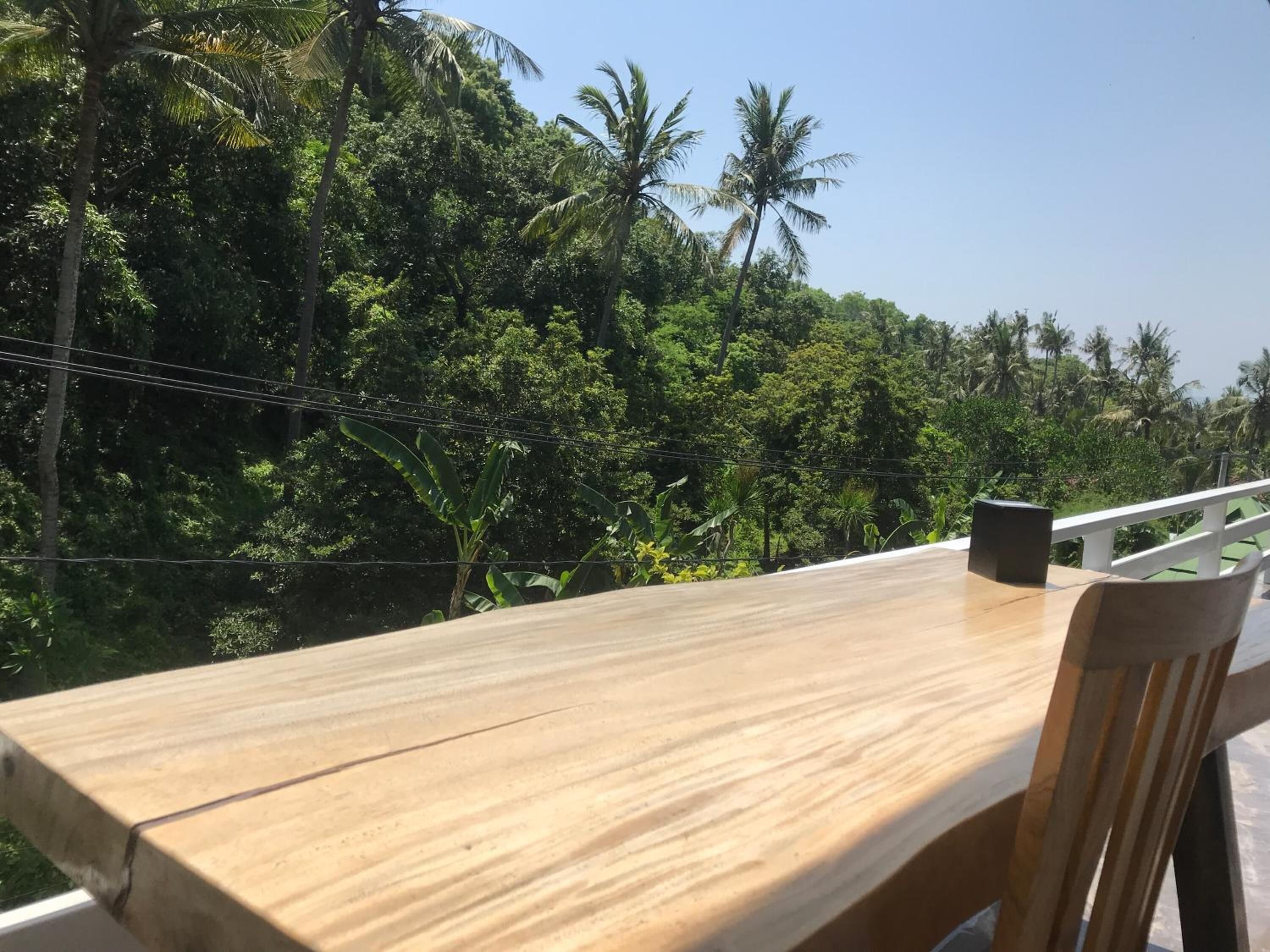 A wooden table with a chair, set against a backdrop of lush greenery and palm trees, indicating a tropical setting.