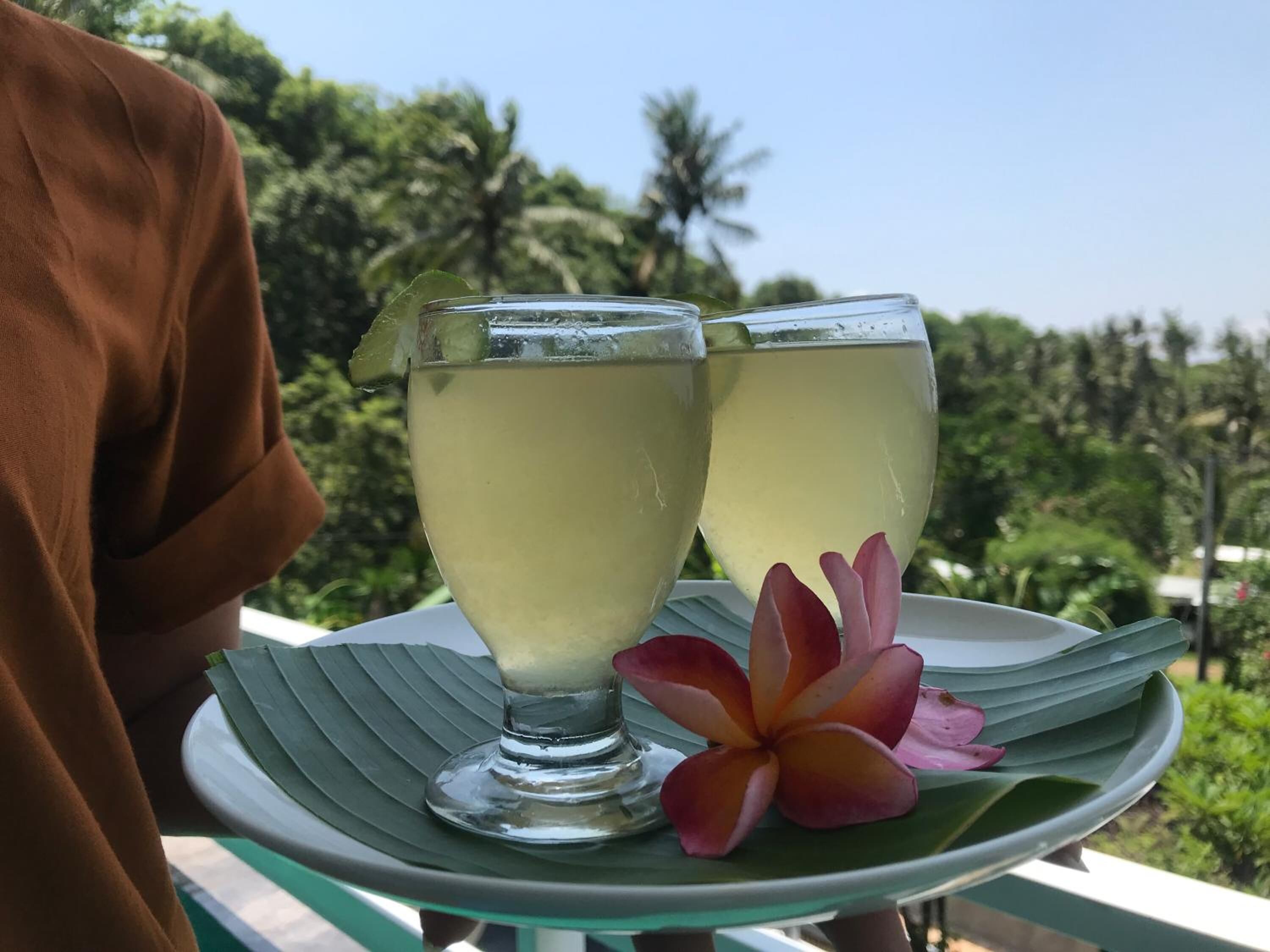 Two glasses of a pale beverage on a tray with a flower, set against a tropical backdrop.