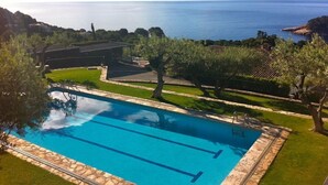 Ein Swimmingpool mit klarem, blauem Wasser, umgeben von einer Steindeck und einem Rasenbereich.