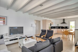 TV, fireplace, books