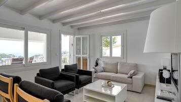 TV, fireplace, books