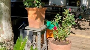 A patio area with potted plants, a grill, and a wooden deck. - House with garden in the city center (Marseille)