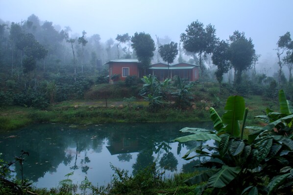 Exterior detail - Yedamakky Plantations Coorg (Virajpet)