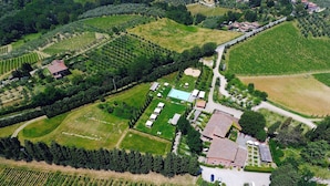 An aerial view of a vineyard with rows of grapevines, a central building with a tiled roof, and a swimming pool surrounded by trees. - Villa Mangiacane (San Casciano)