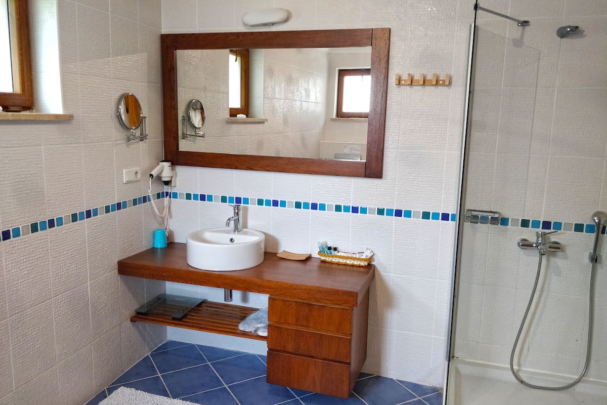 shower, free toiletries, hair dryer, slippers