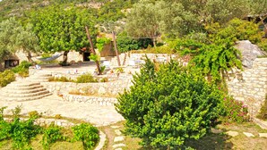 A stone courtyard with steps leading to a stone building, surrounded by lush greenery and trees. - Zephyros Hotel (Datça)