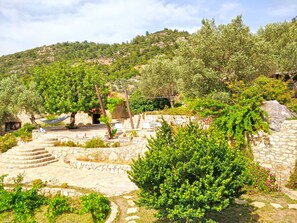 Vista desde la propiedad