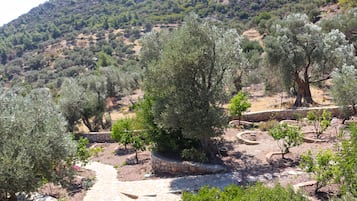 Jardín
