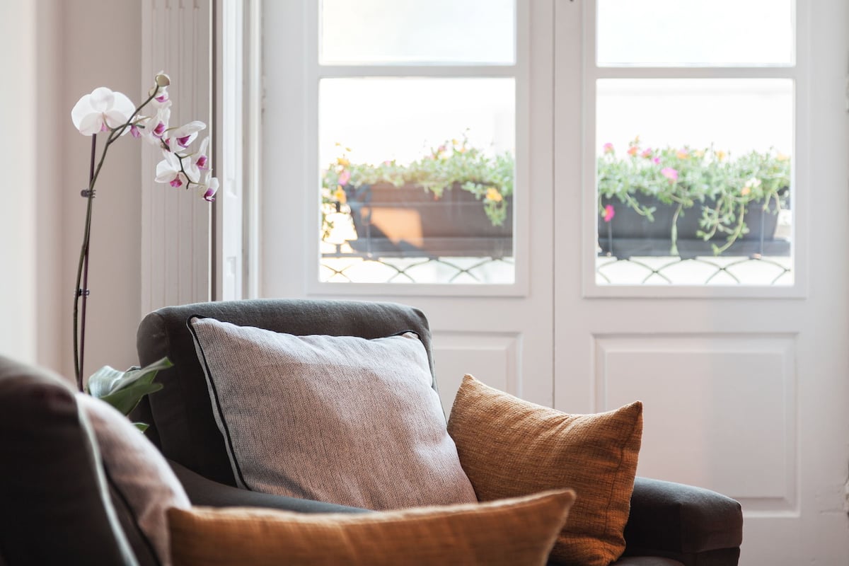 A living room with a dark-colored sofa, a potted orchid, and a view of a balcony with potted plants.
